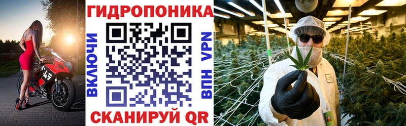 Бошки Шишки THC 21% Чаплыгин